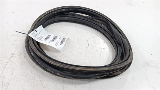 Hyundai Sonata Trunk Lid Hatch Door Rear Back Rubber Seal 2018 2019