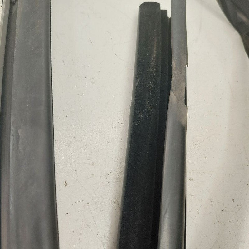 Ford Ecosport Door Glass Window Seal Rubber Right Passenger Front 2020