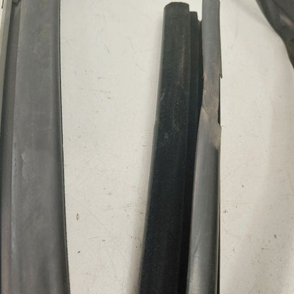 Ford Ecosport Door Glass Window Seal Rubber Right Passenger Front 2020