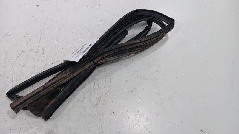 Ford Taurus On Door Seal Rubber Left Rear Back  2013 2014 2015 2016 OE