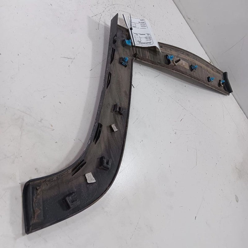 Jeep Compass Door Molding Trim Strip Right Passenger Side Rear Back 2017 2018