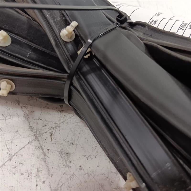 Ford Ecosport On Door Seal Rubber Left Rear Back  2018 2019 2020 2021 