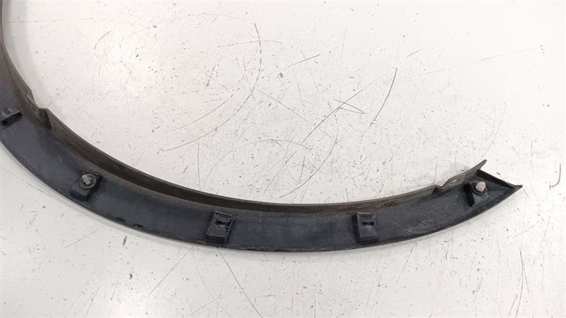 Fender Moulding Molding Trim Strip Passenger RIght Front