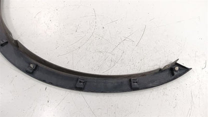Fender Moulding Molding Trim Strip Passenger RIght Front