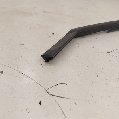 2018 Fiat 500 X Model Door Glass Window Seal Rubber Left Driver Front
