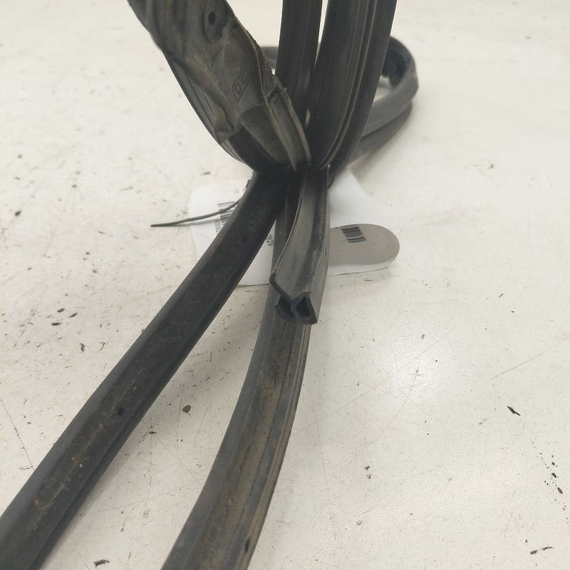 Honda CR-V On Door Seal Rubber Right Passenger Rear Back  2019 2018 20