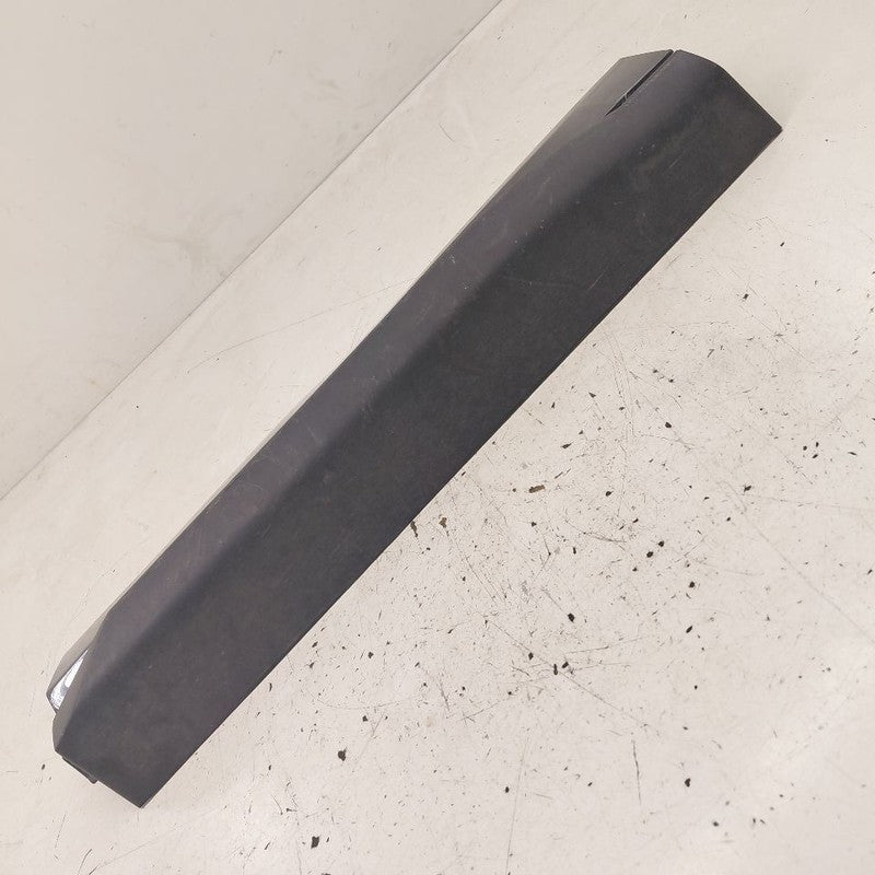 Ford Edge Door Molding Trim Strip Left Driver Side Rear Back 2019 2020