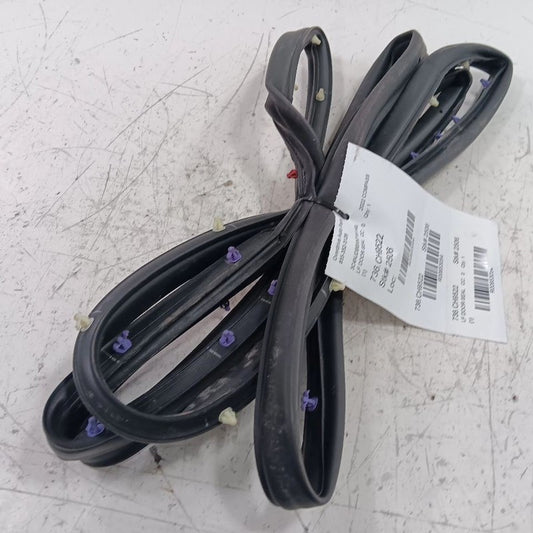 Jeep Compass On Door Seal Rubber Left Driver Front  2018 2019 2020 2021 2022