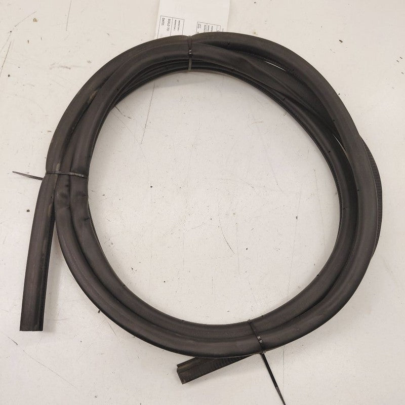 Nissan Maxima On Body Door Jamb Seal Gasket Front Left Driver  2018 20