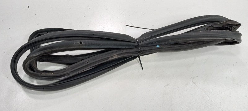 Cadillac CTS On Door Seal Rubber Right Passenger Front 2010 2011 2012 2013 2014