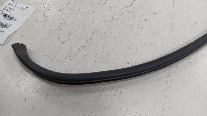 Hyundai Sonata On Body Door Jamb Seal Rear Right Passenger Back 2011 2