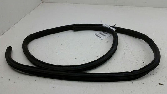 Chevy Cobalt On Body Door Jamb Seal Gasket Rear Left Back OEM 2009 201
