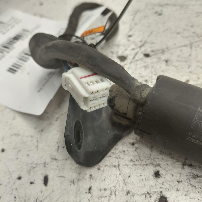 Hyundai Santa Fe Passenger Right Hatchback Trunk Lid Electric Shock St