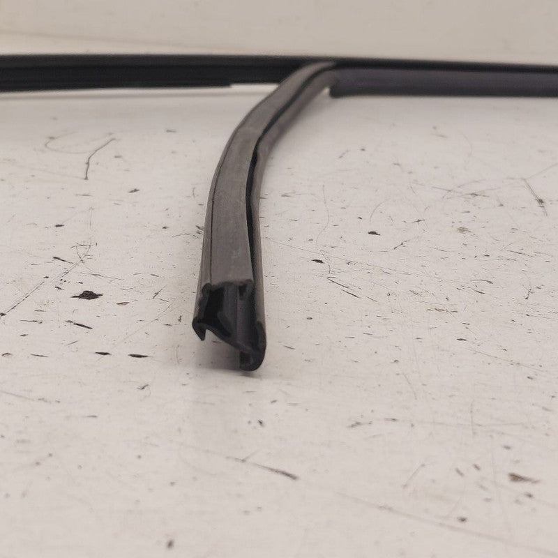 2018 Fiat 500 X Model Door Glass Window Seal Rubber Left Driver Front