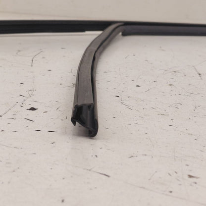 2018 Fiat 500 X Model Door Glass Window Seal Rubber Left Driver Front