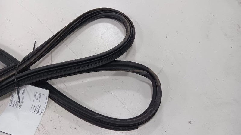 Buick Encore Trunk Lid Hatch Door Rear Back Rubber Seal  2013 2014 2015 2016