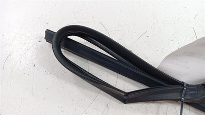 Hyundai Sonata Door Glass Window Seal Rubber Left Rear Back 2018 2019