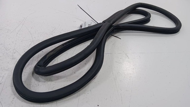 Dodge Dart On Body Door Jamb Seal Gasket Front Left Driver  2013 2014 2015 2016
