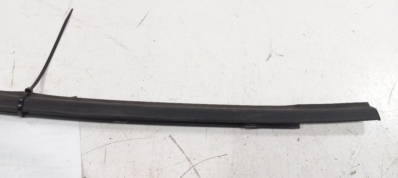 Hyundai Veloster Door Glass Window Weather Strip Trim Rear Right Passe