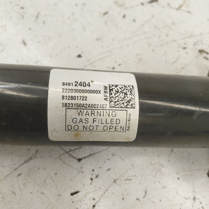 Chevy Equinox Left Rear Shock Absorber 2024 2023 2022