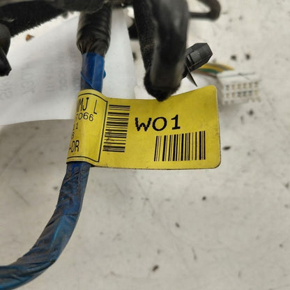 Hyundai Kona Door Harness Wire Wiring Right Passenger Rear  2021 2020 