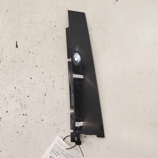 Ford Escape Passenger Right Rear Door Applique Molding {LJ6BS254A40AAW