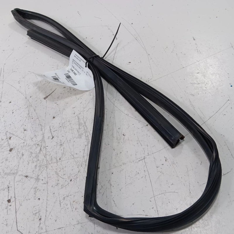 Hyundai Accent Door Glass Window Seal Rubber Right Passenger Front 201