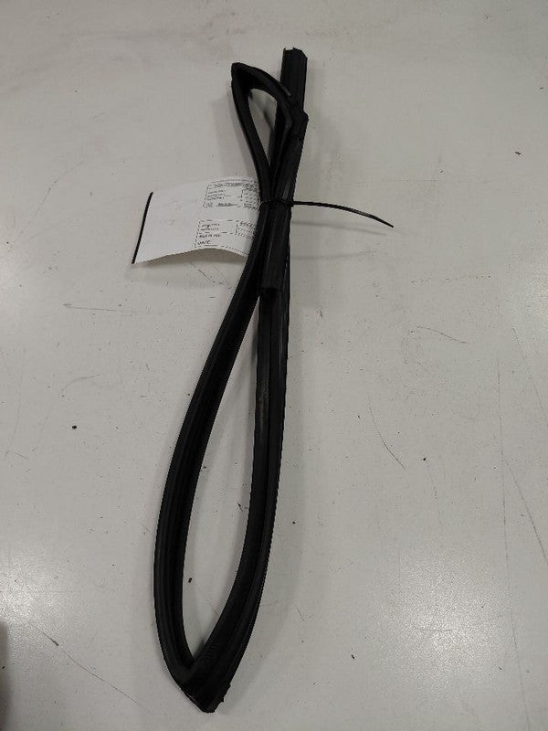 Kia Soul Door Glass Window Seal Rubber Right Passenger Rear Back  2017