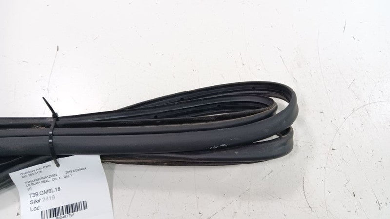 Chevrolet Equinox On Door Seal Rubber Left Rear Back 2018 2019 OEM