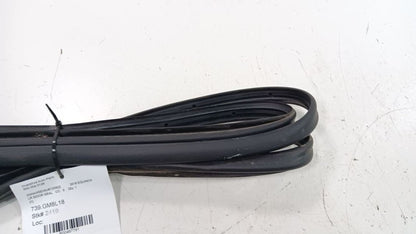Chevrolet Equinox On Door Seal Rubber Left Rear Back 2018 2019 OEM