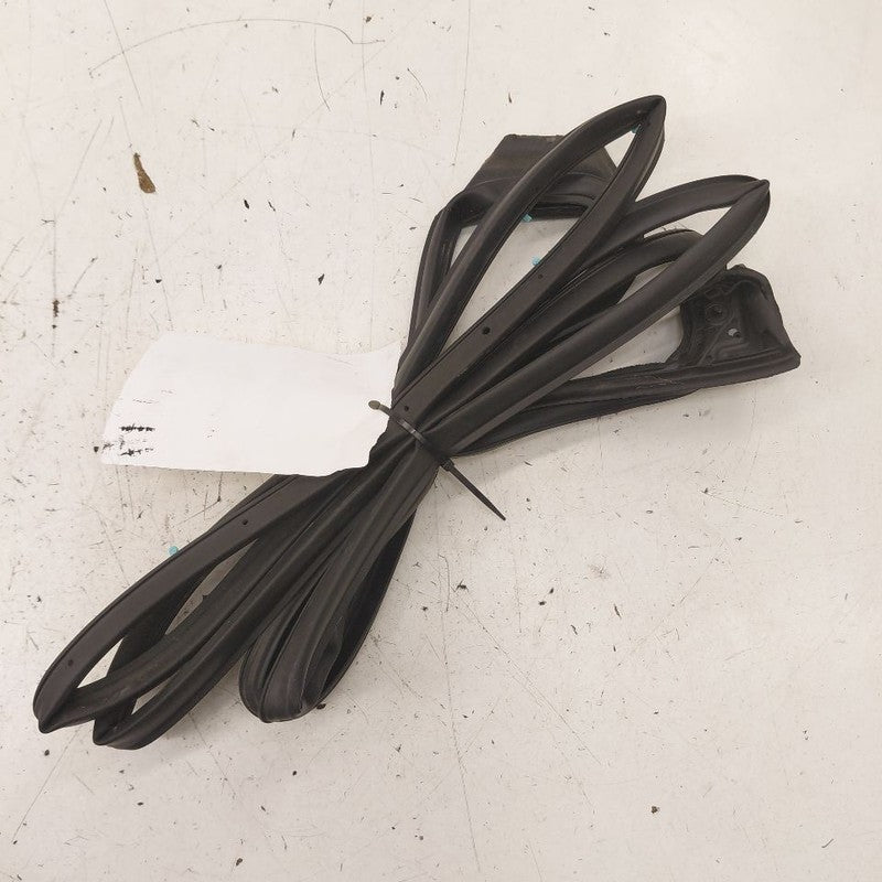Honda HR-V On Door Seal Rubber Left Driver Rear Back  2026 2025 2024 2