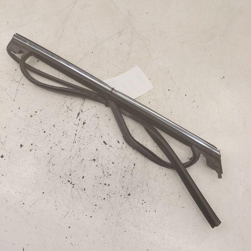 Ford Edge Door Glass Window Seal Rubber Left Driver Rear Back  2018 20