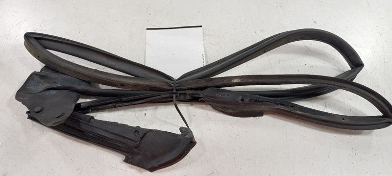 Hyundai XG350 On Door Seal Rubber Left Driver Front 2003 2004 2005 OEM
