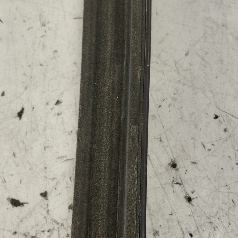 Ford Edge Door Glass Window Weather Strip Trim Rear Right Passenger Si