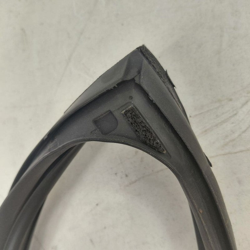 Hyundai Kona Door Glass Window Seal Rubber Right Passenger Rear Back  