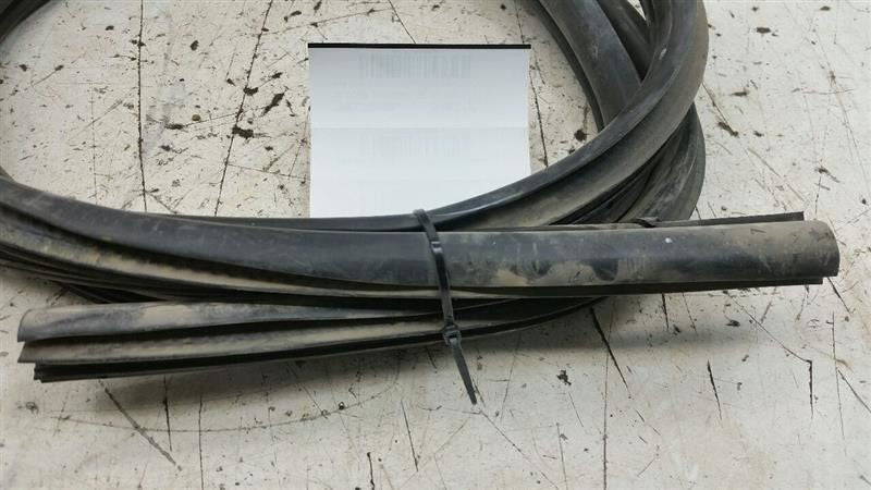 Dodge Journey On Body Door Jamb Seal Gasket Rear Left Back 2009 2010