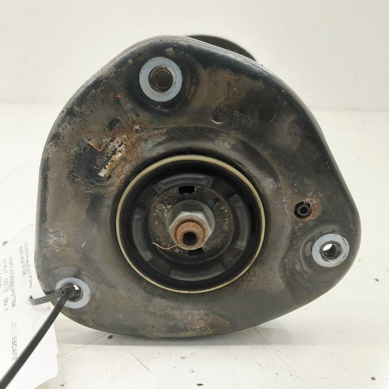 Passenger Right Front Strut FWD Fits 20-22 Ford Escape