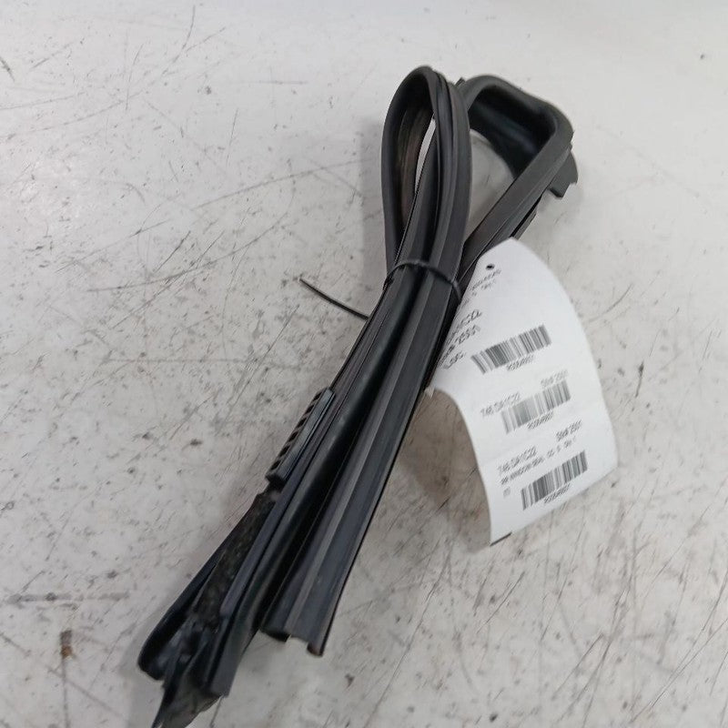 Nissan Kicks Door Glass Window Seal Rubber Right Passenger Rear Back  2021 2022 