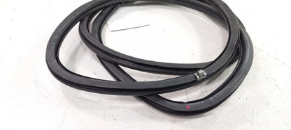 Lexus GS350 On Body Door Jamb Seal Rear Left Back 2007 2008 2009 OEM