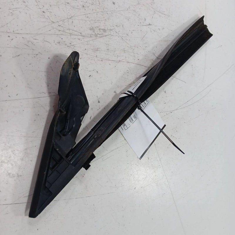 Mini Cooper Door Glass Window Seal Rubber Right Passenger Front  2016 