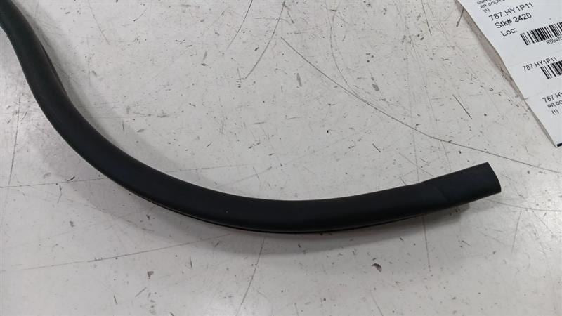 Hyundai Sonata On Body Door Jamb Seal Rear Right Passenger Back 2011 2