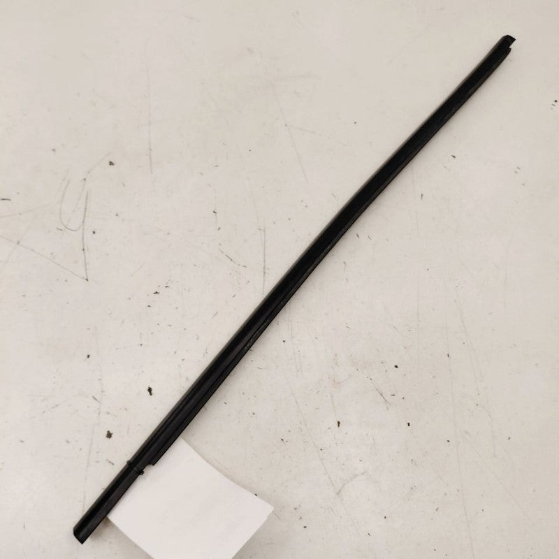Chevy Trailblazer Door Glass Window Weather Strip Trim Front Left Driv