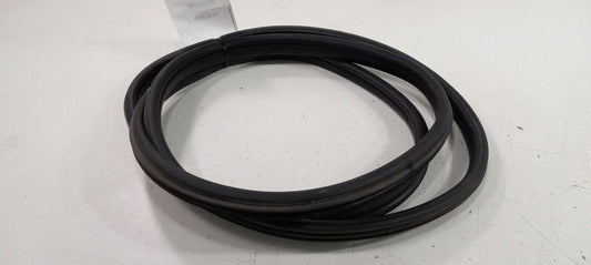 Mini Cooper Paceman On Body Door Jamb Seal Front Right Passenger 2013 