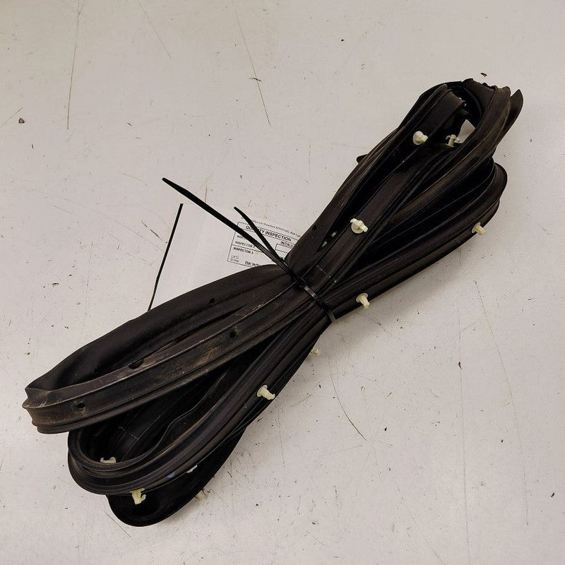 Ford Ecosport On Door Seal Rubber Left Driver Rear Back  2020 2021 202