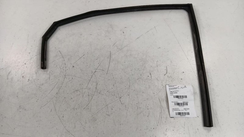 Hyundai Sonata Door Glass Window Seal Rubber Right Passenger Rear Back