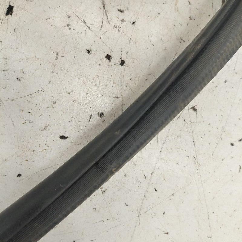 Lexus IS350 On Body Door Jamb Seal Front Right Passenger  2020 2019 20