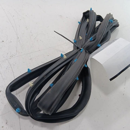Jeep Compass On Door Seal Rubber Right Passenger Rear Back  2018 2019 