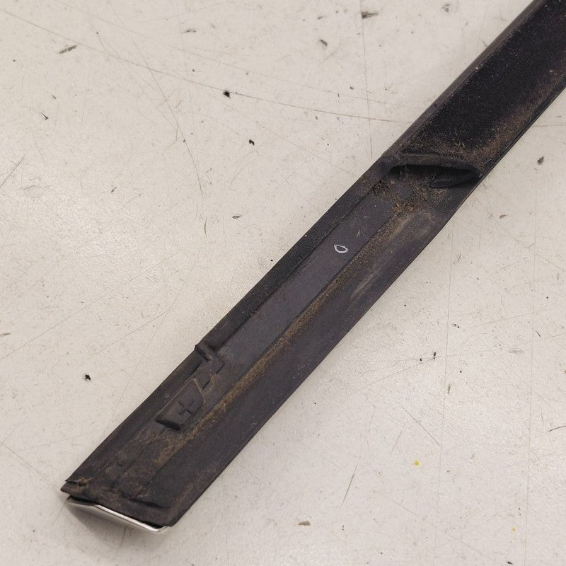 Volvo S60 Door Glass Window Weather Strip Trim Rear Left Driver Back  