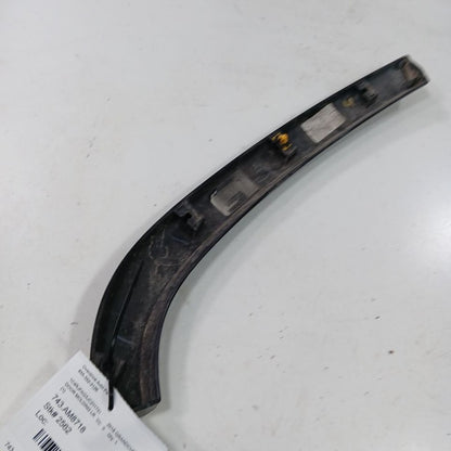 Grand Cherokee Door Molding Trim Strip Left Driver Side Rear Back 2017