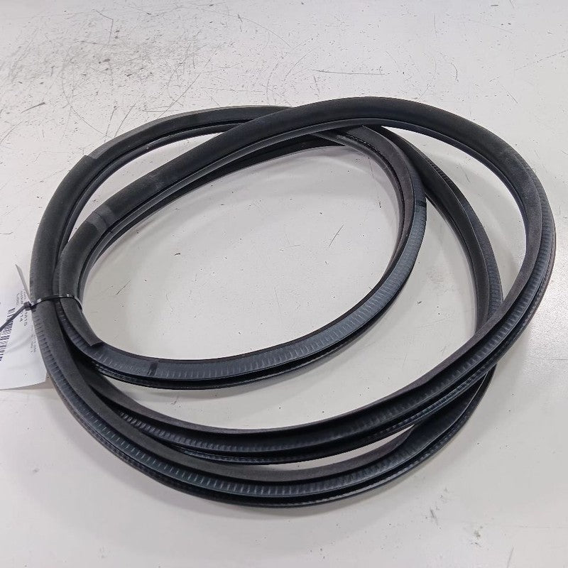 INFINITI Q50 On Body Door Jamb Seal Front Right Passenger  2014 2015 2016 2017 